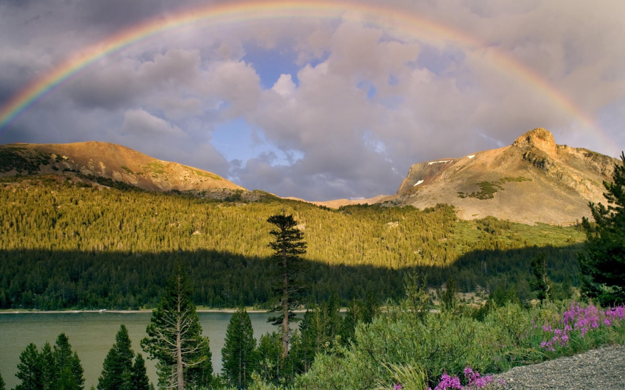 Радуга после дождя