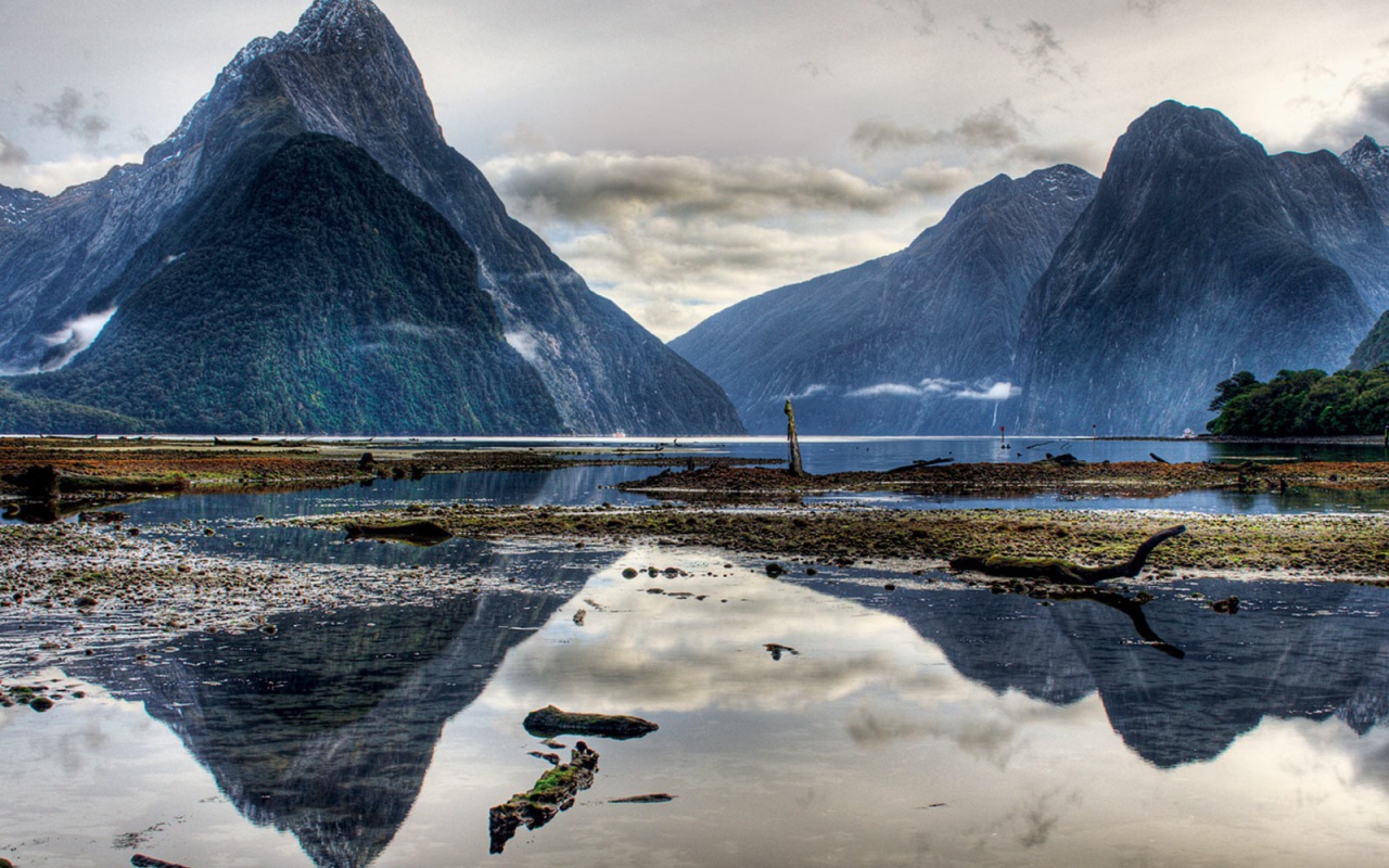 Дикая природа гор