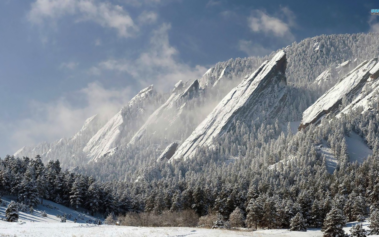 Скалы и деревья