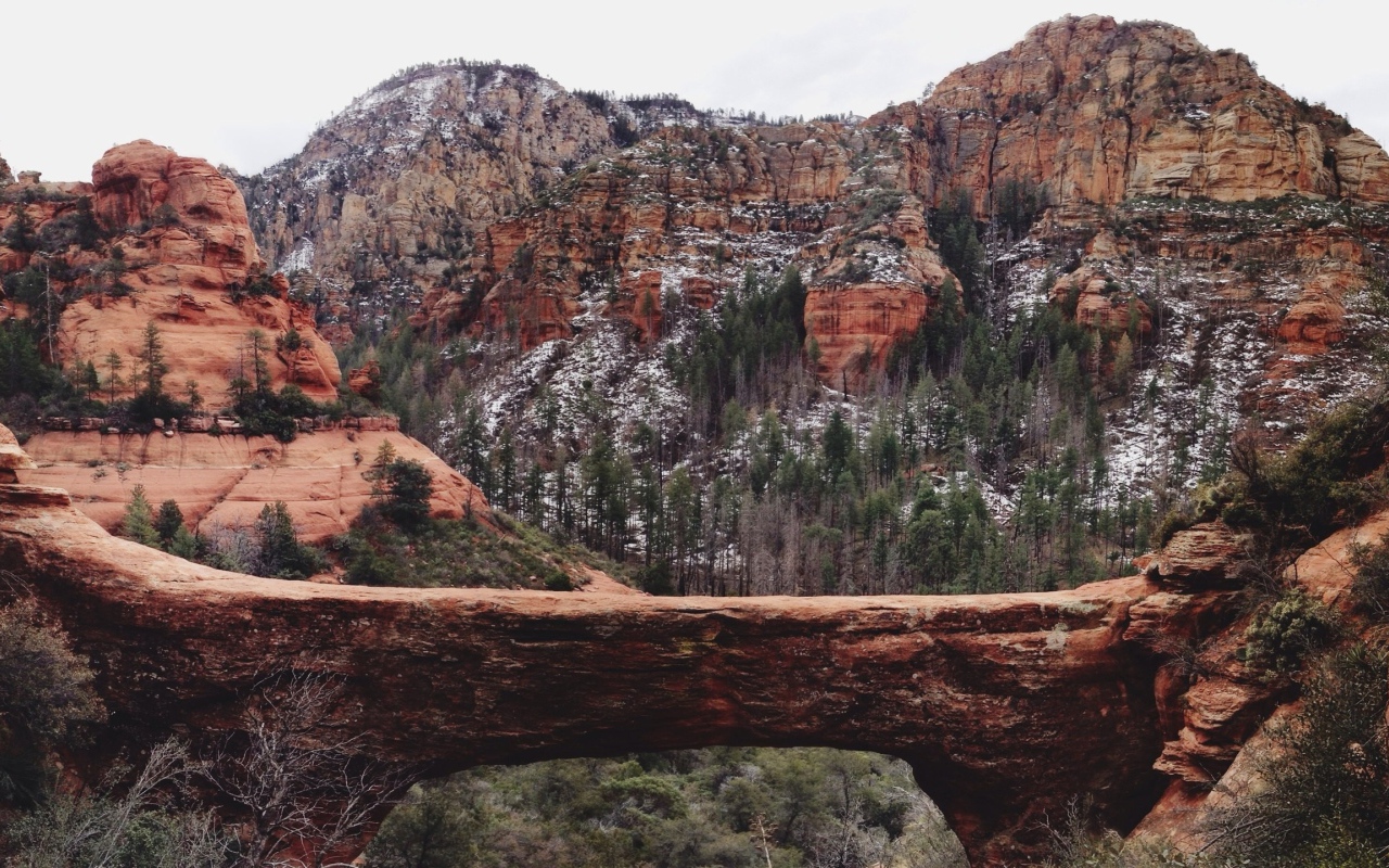 Мост через ущелье