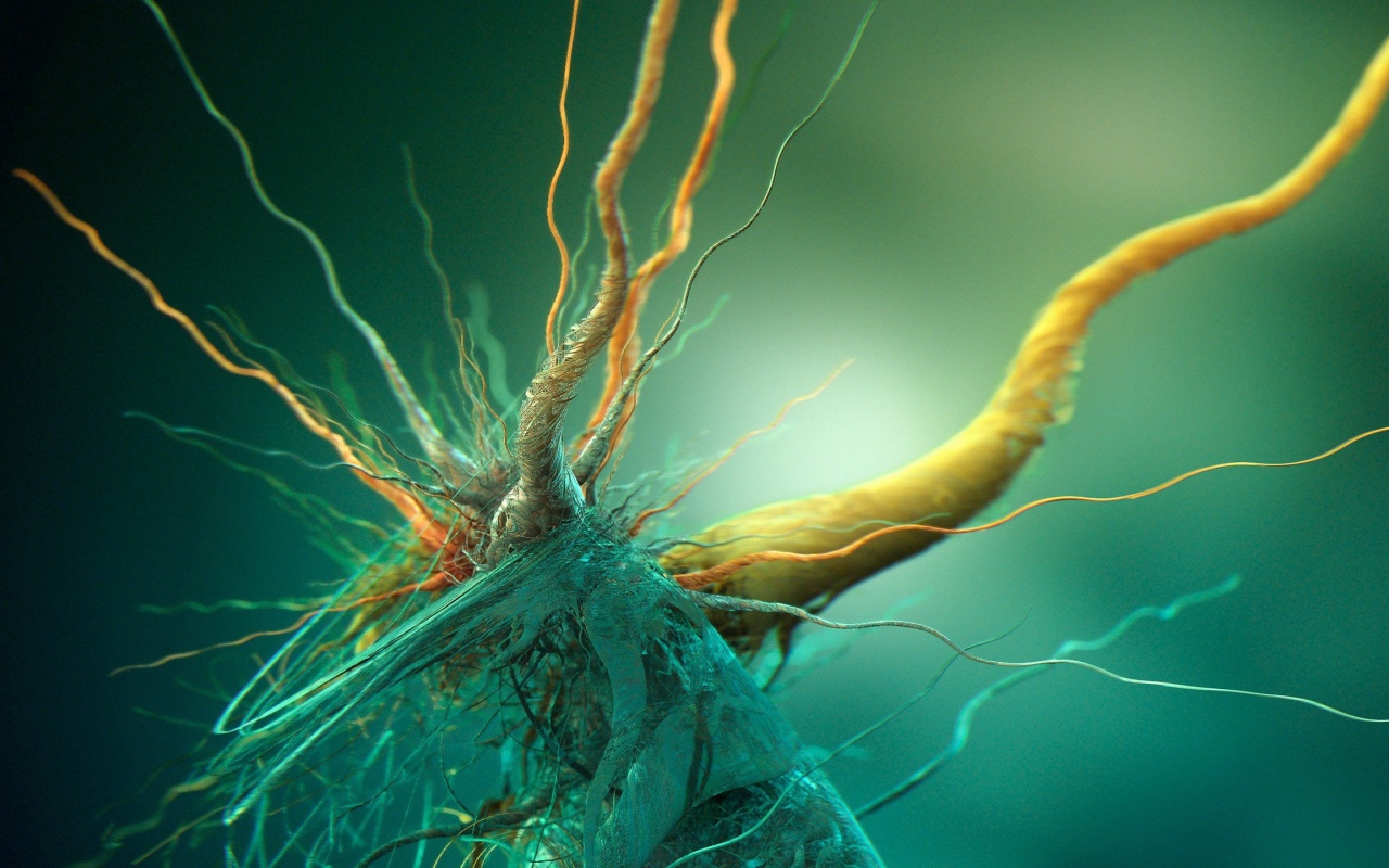 Бактерия под микроскопом