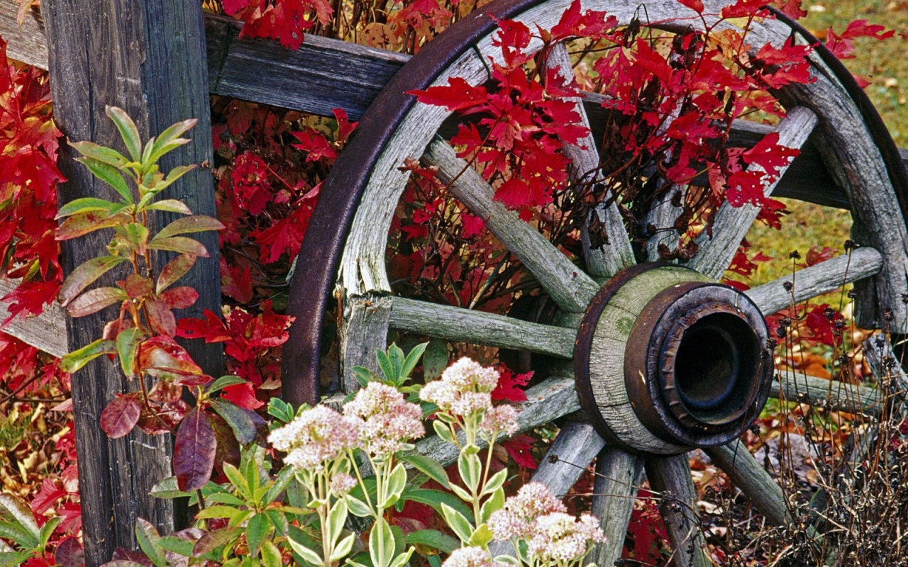 Колесо от старой телеги