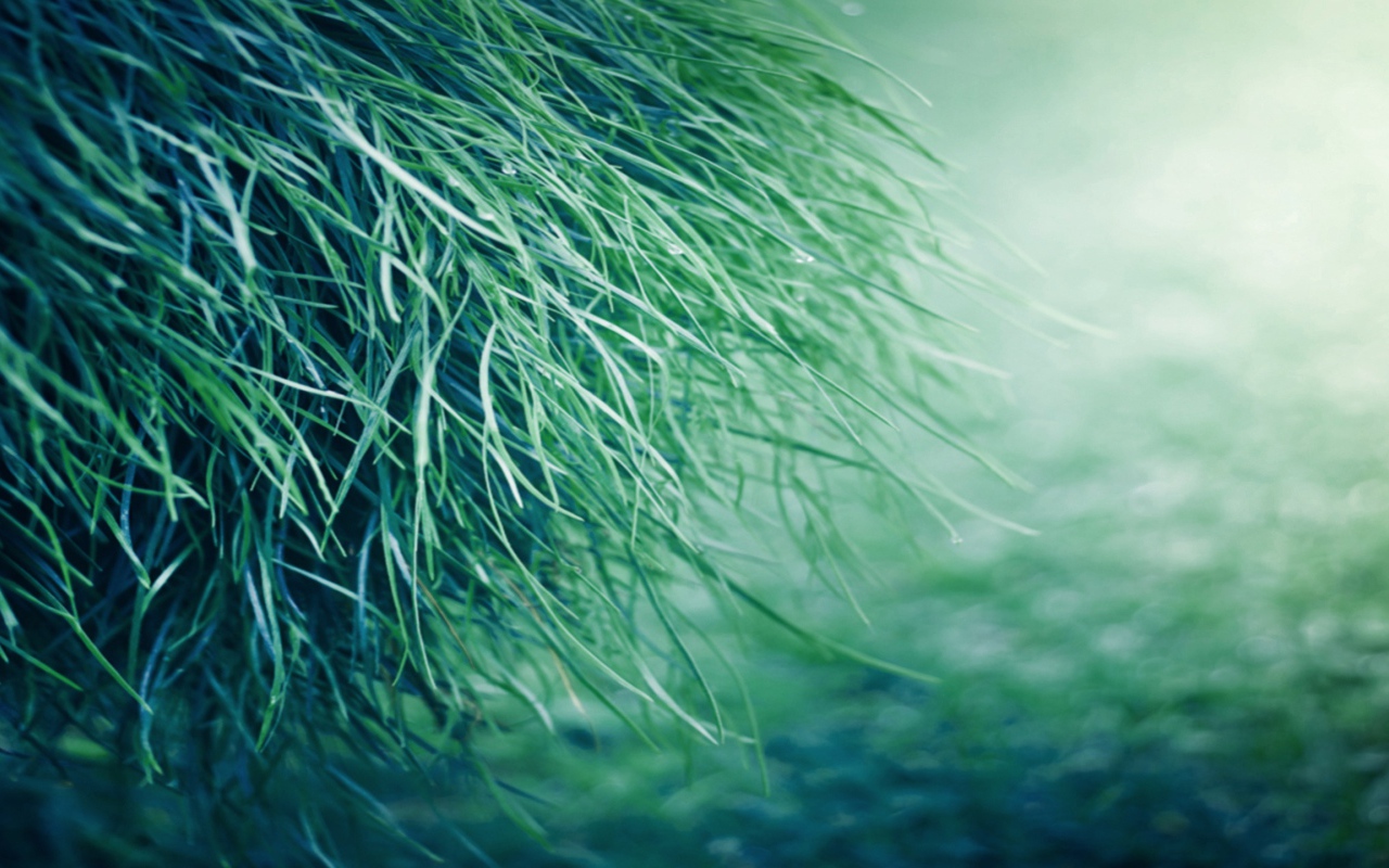 Только трава