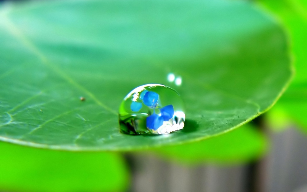 Отражение в капле воды