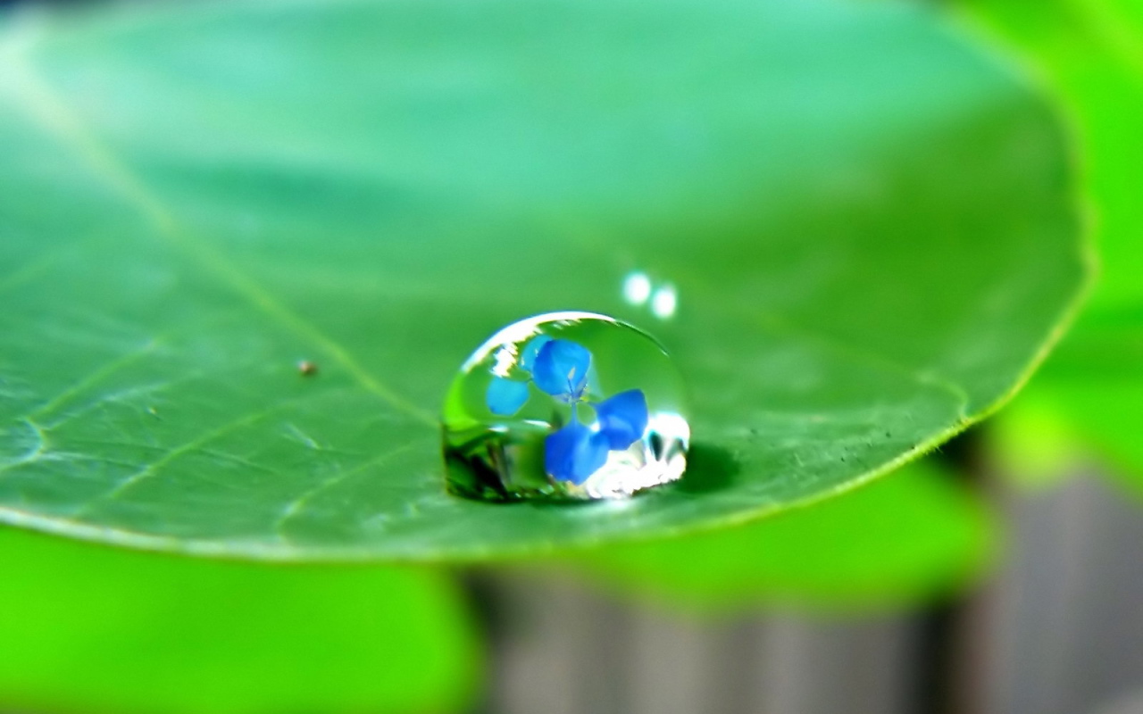 Отражение в капле