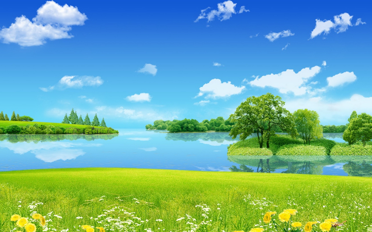 Цветы на лугу у озера