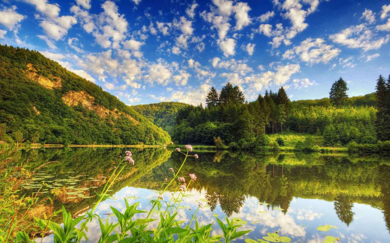 Озеро среди лесистых холмов