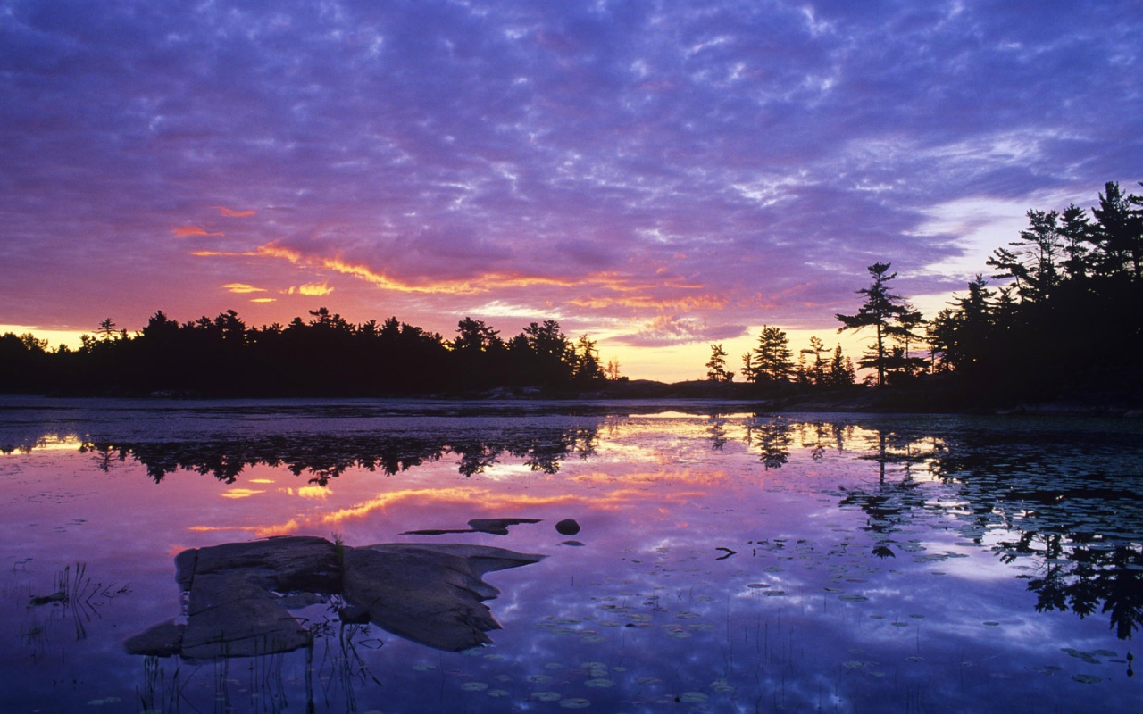 Заросшее озеро на закате