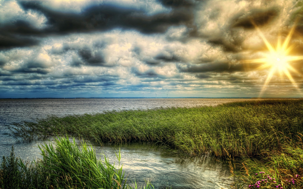 Заросший берег озера