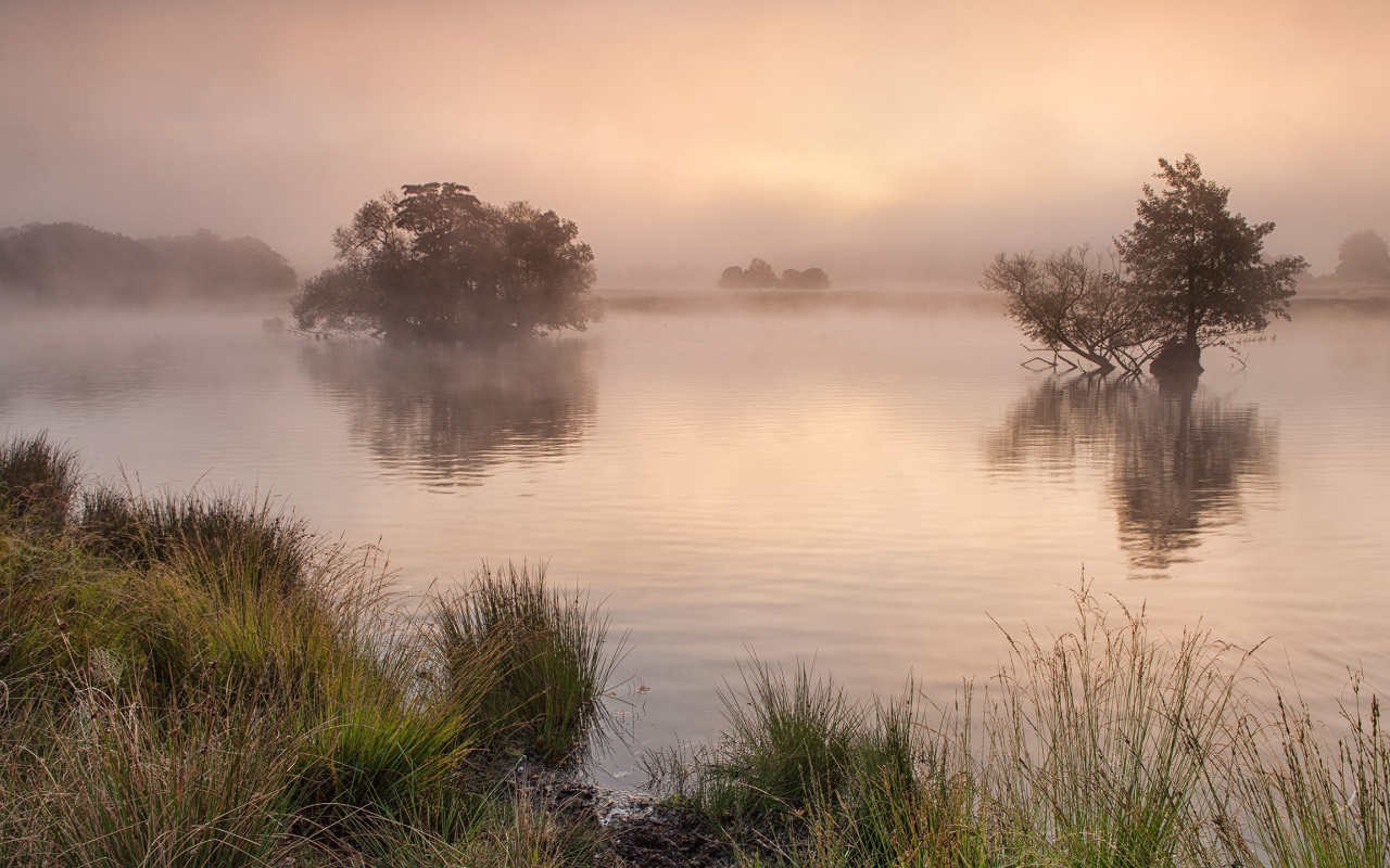 Утро в Англии
