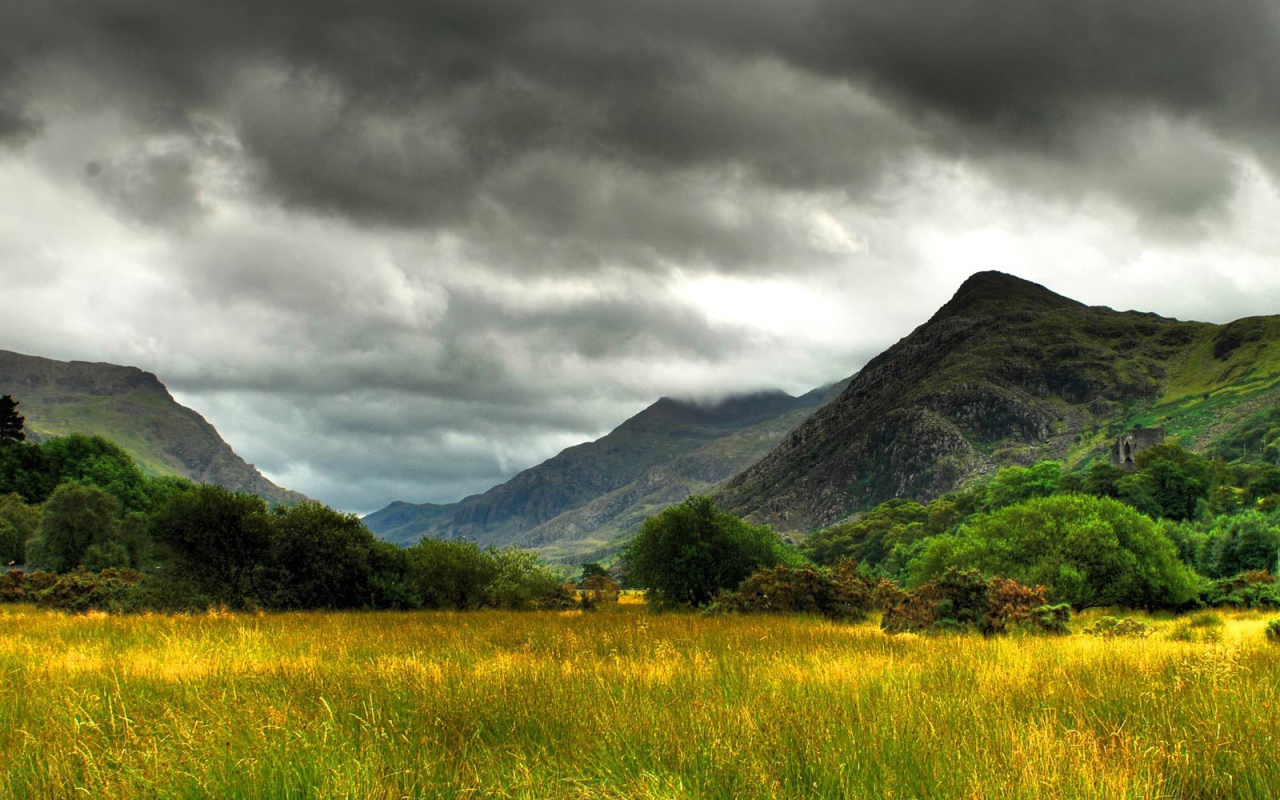 Болото заросшее травой