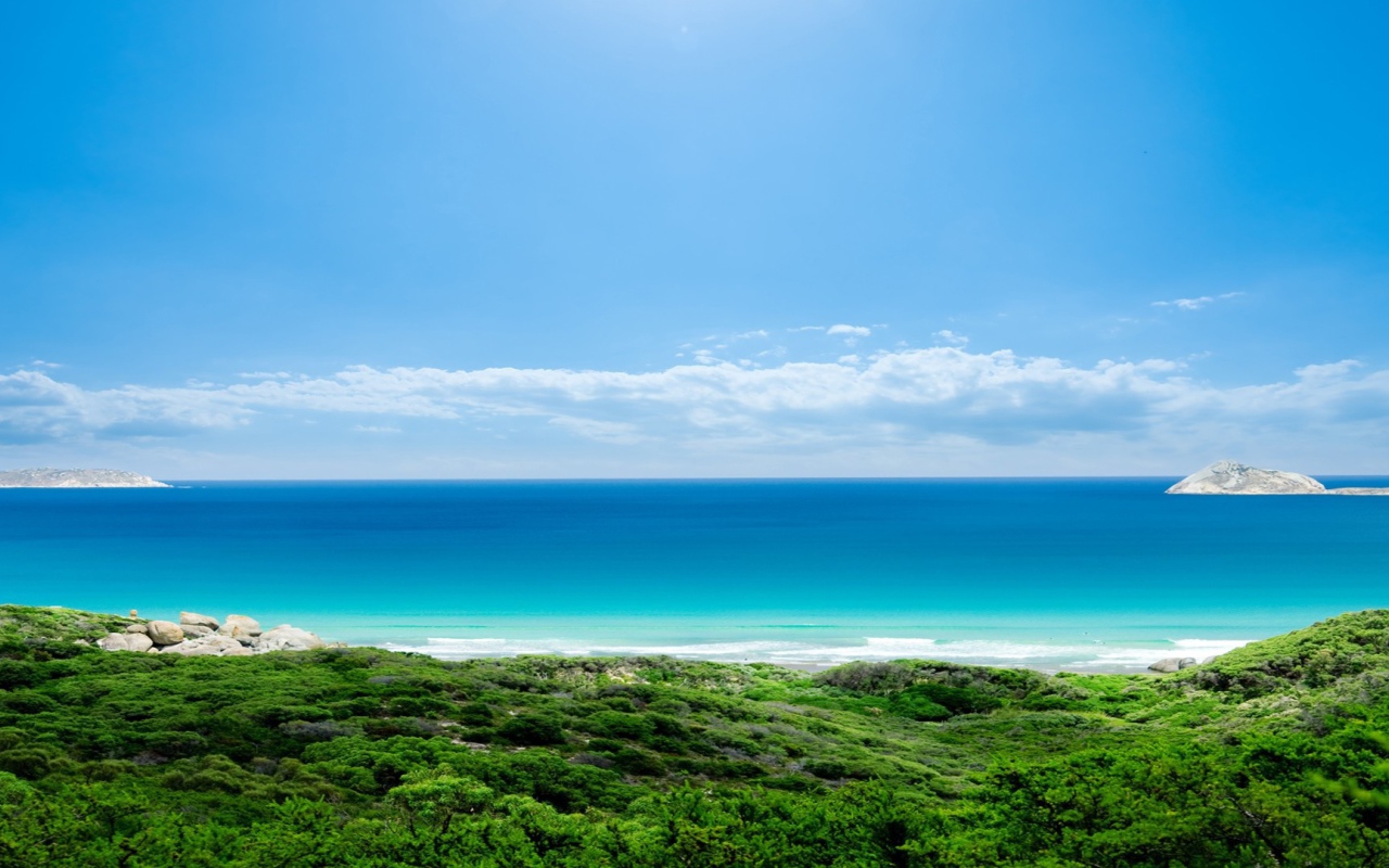 Зеленый берег и голубое море