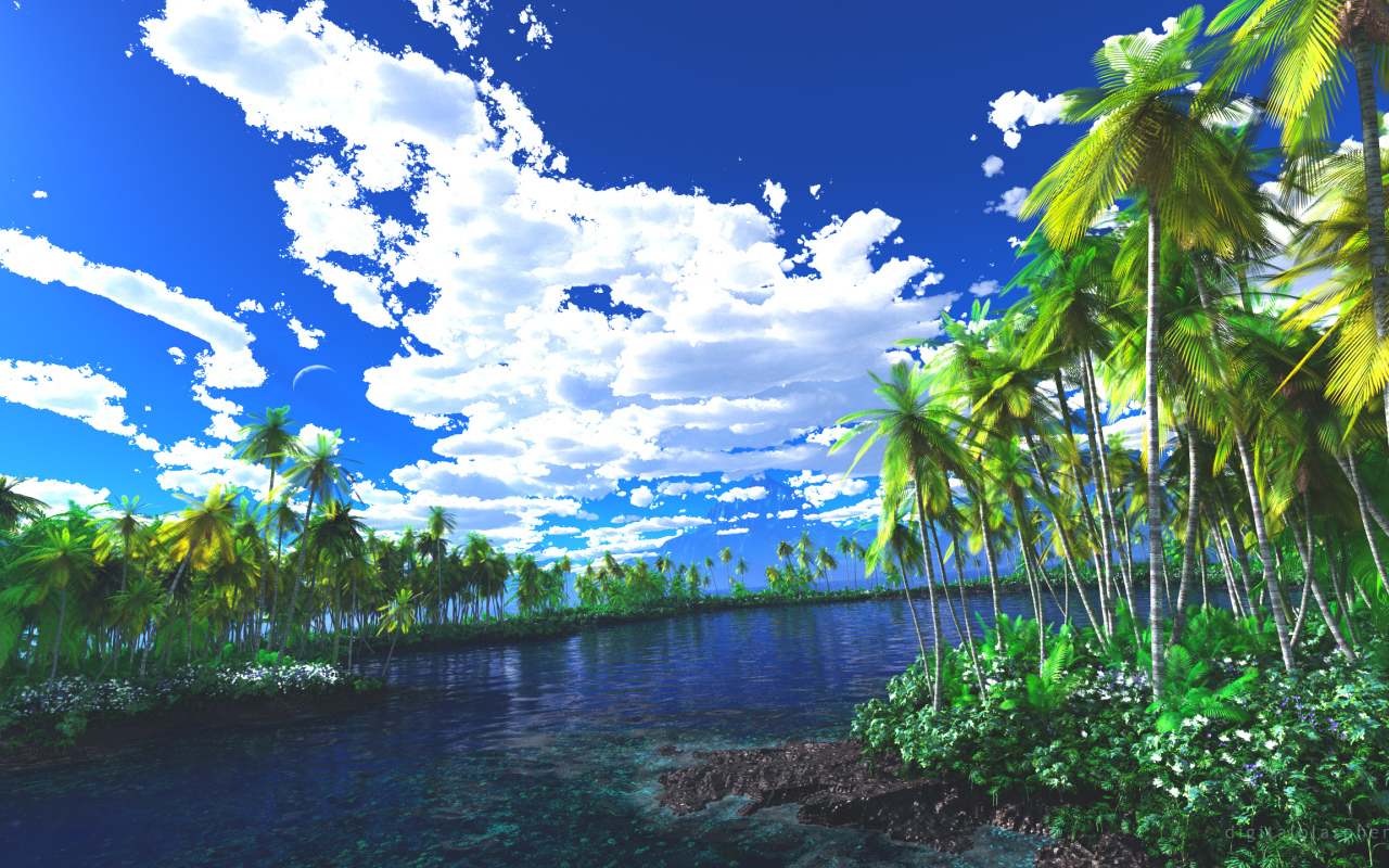 Лагуна заросшая пальмами