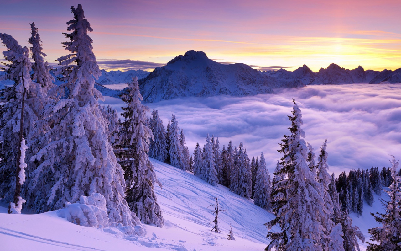 Фиолетовый зимний закат 