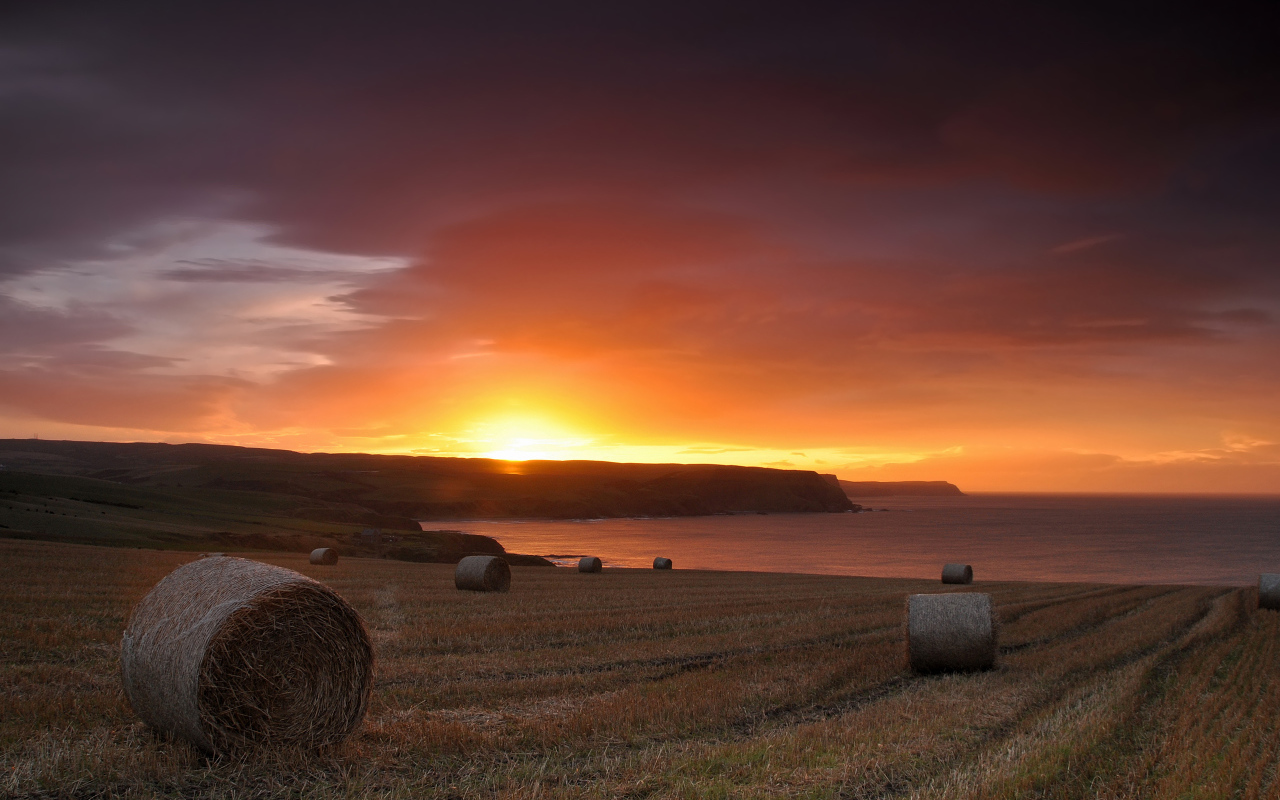 Закат на скошенном поле