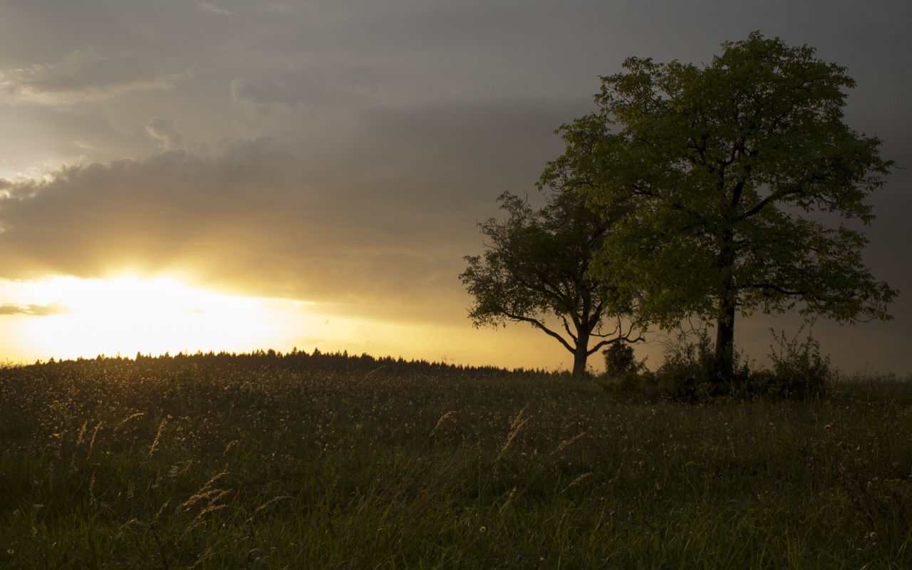 Солнце за черной тучей