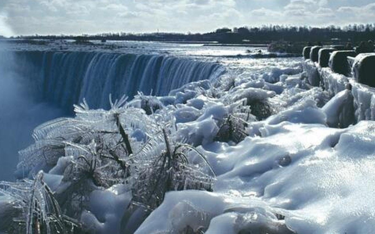 Обледеневшие растения на фоне замерзшего водопада
