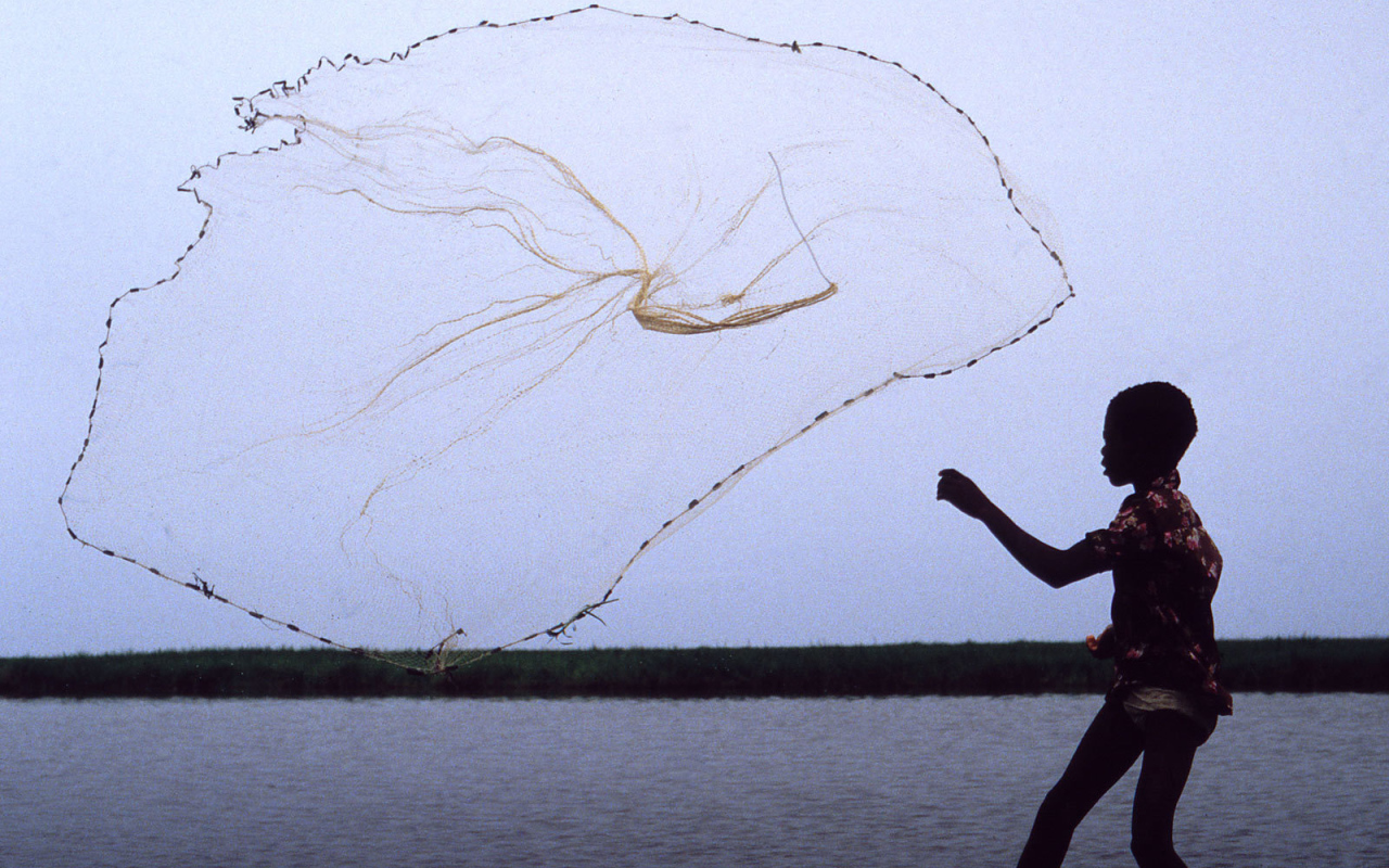 Мальчик забрасывает сеть