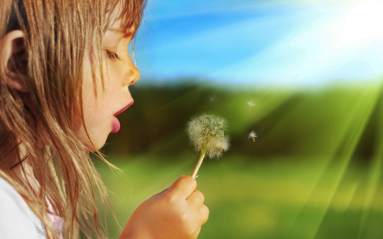 Девочка дует на одуванчик