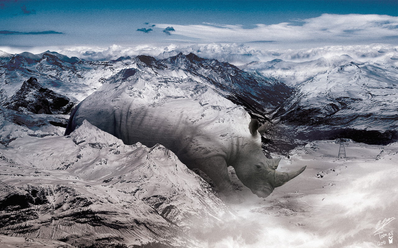 Носорог в горах