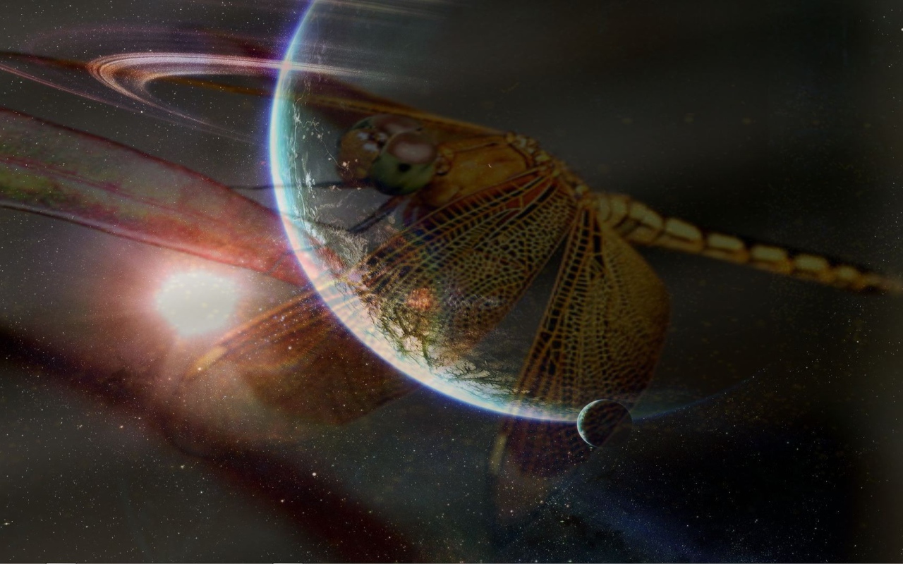 Стрекоза и космос