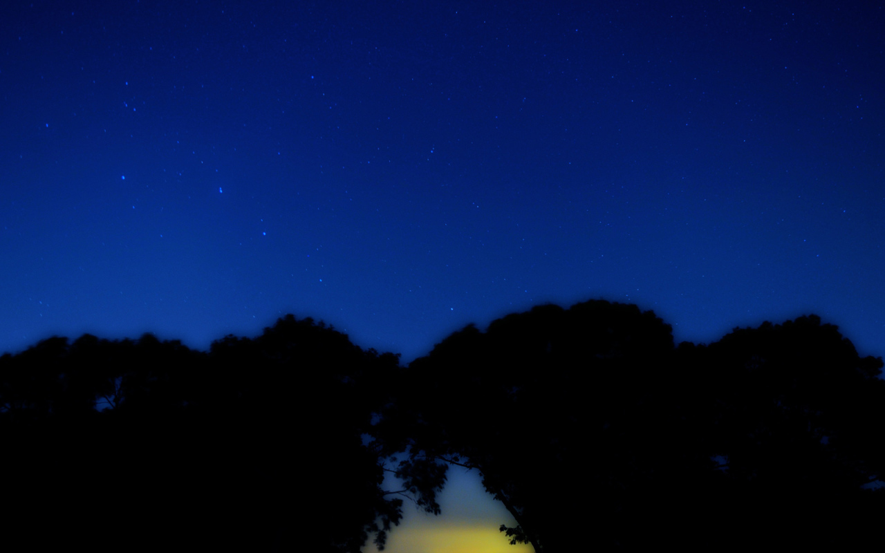 Созвездие Большая медведица