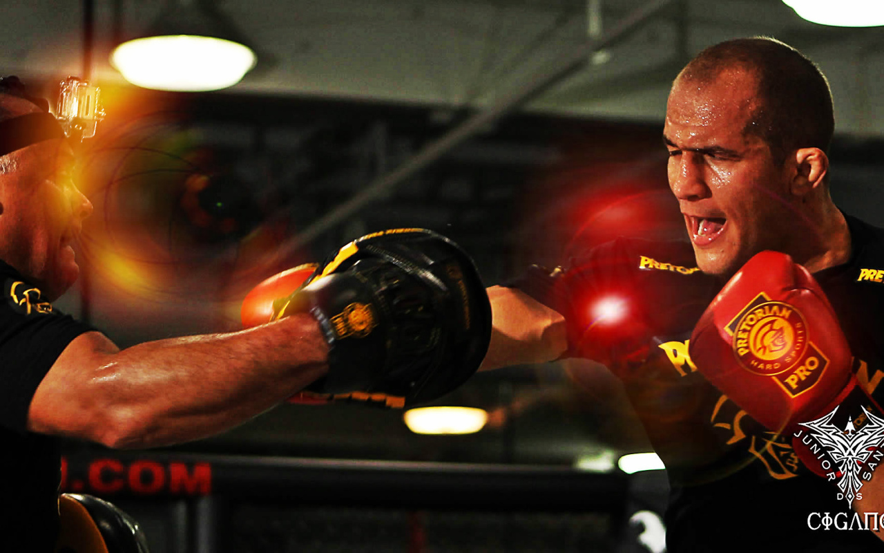 Боец Джуниор Дос Сантос