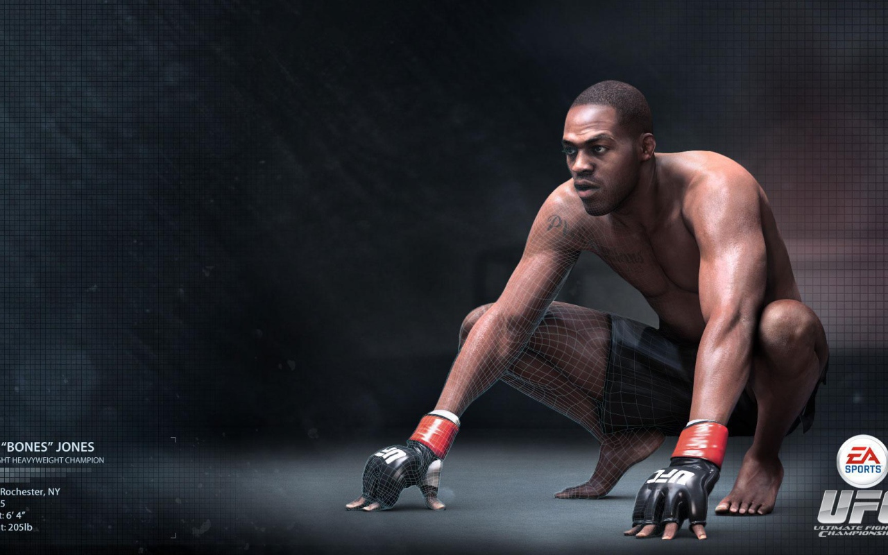 УФЦ  Боец Джон Джонс