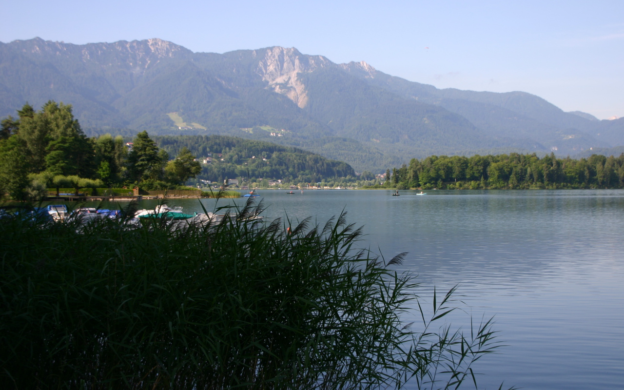 Камыши на озере на курорте Фаакер-Зее, Австрия