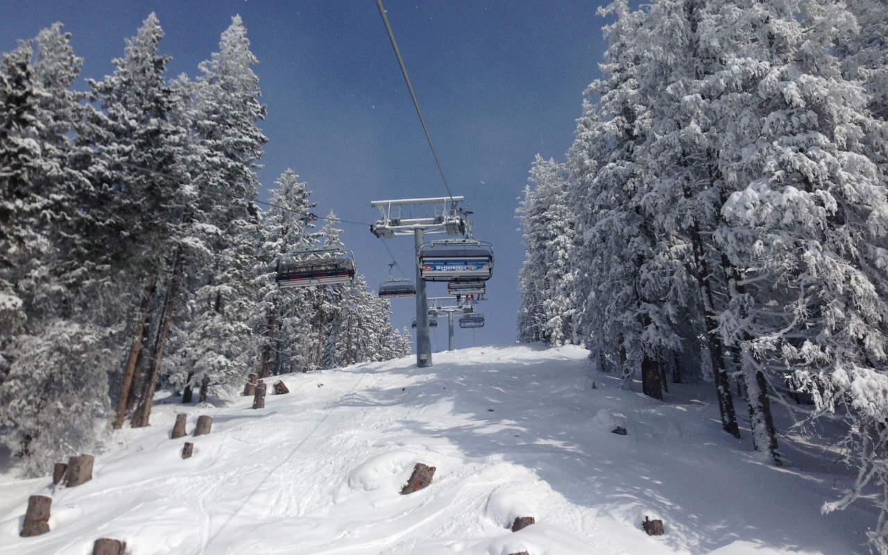 Заснеженные деревья на горнолыжном курорте Заальбах Хинтерглем, Австрия