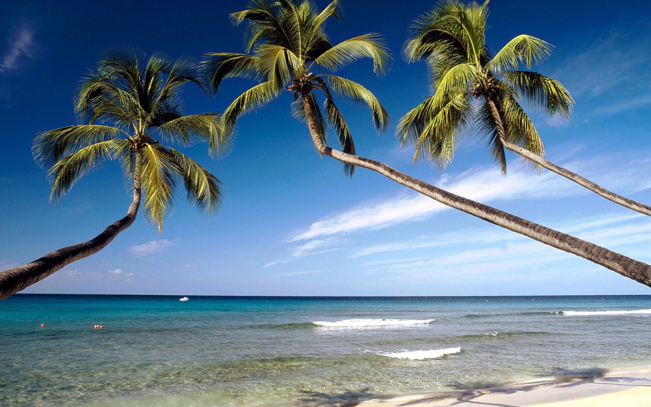 Красивое Барбадос