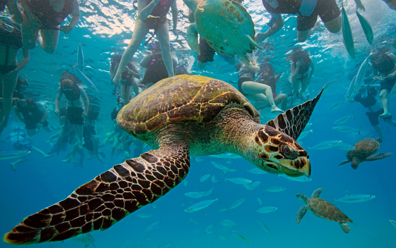 Туристическое место в Барбадос