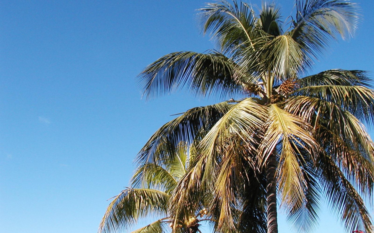 Замечательное место в Барбадос