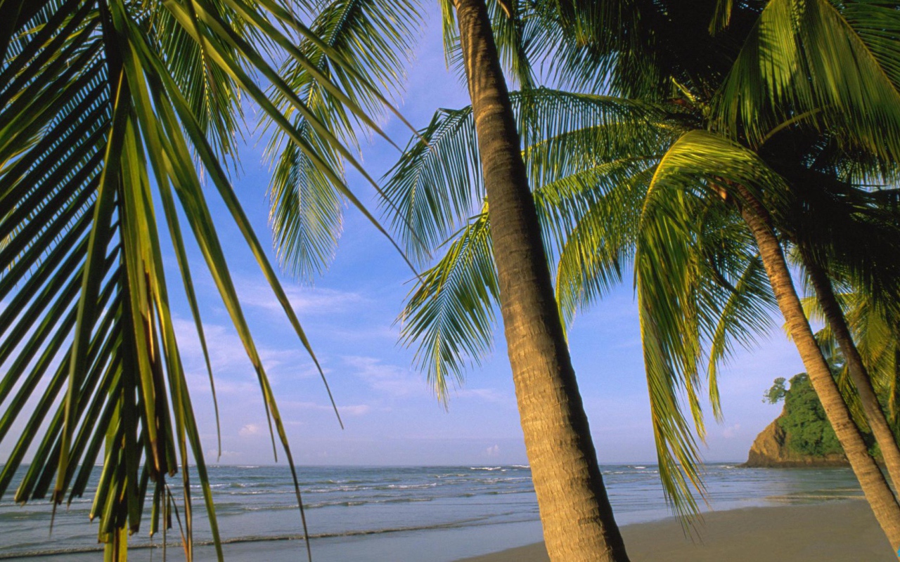 Потрясающая Погода Коста-Рика