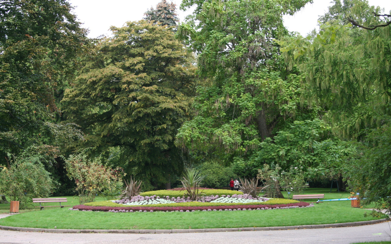 Клумба в городе Виши, Франция