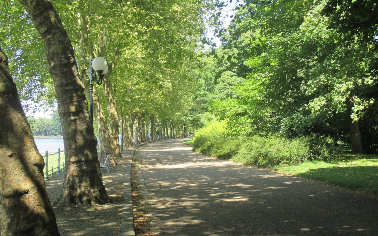 Парковая аллея в городе Виши, Франция