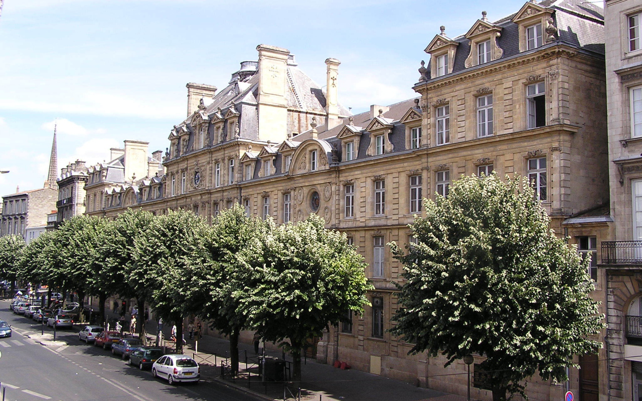 Деревья на улице в Бордо, Франция