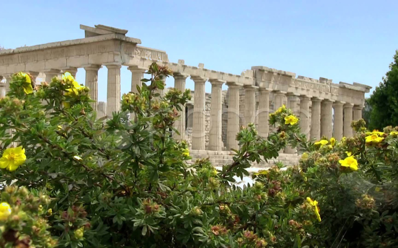 Цветущие кустарники на фоне Акрополя в Афинах