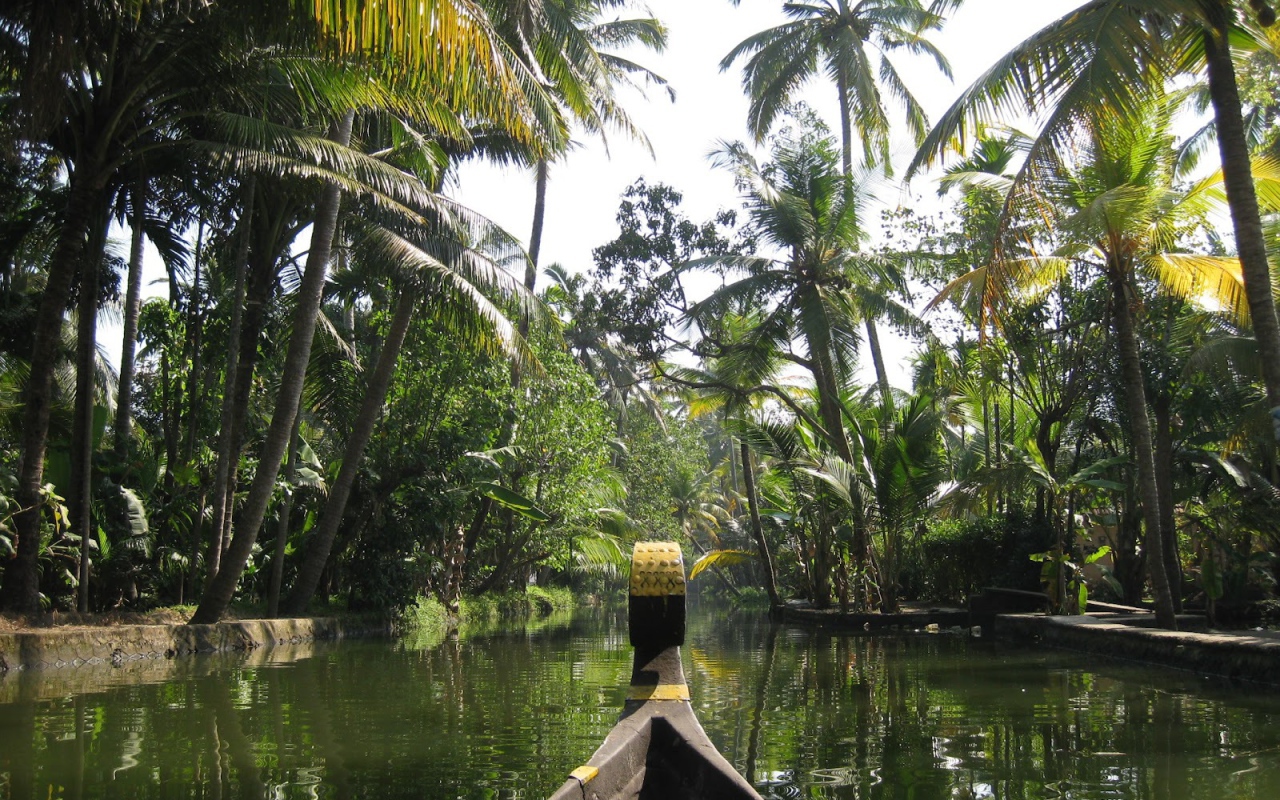 Прогулка на лодке в Алапуже
