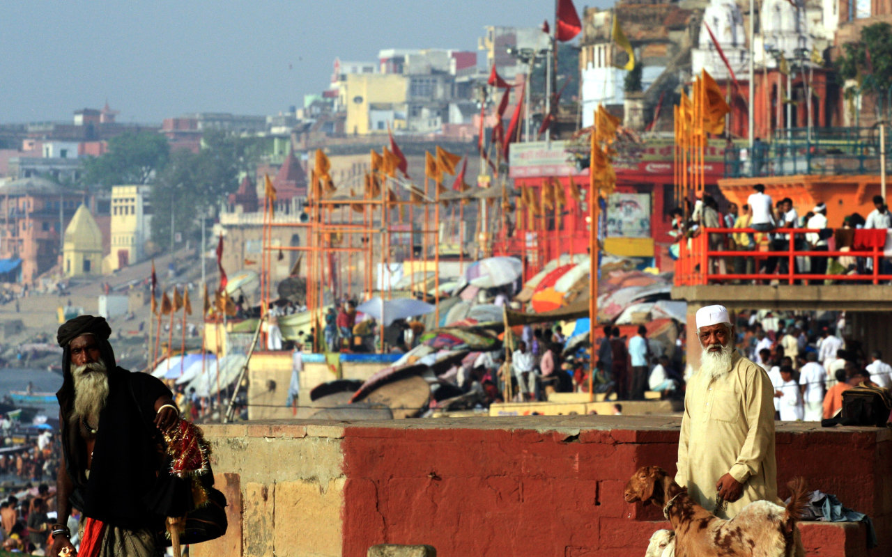 Житель Варанаси с козами