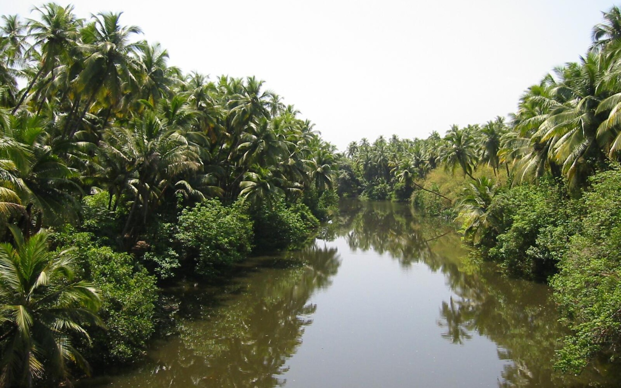 Красивая природа Гоа