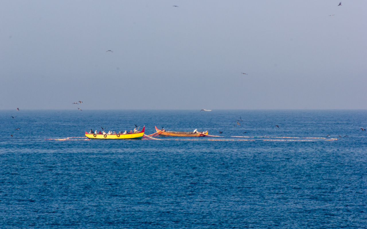 Лодки возле побережья в Варкале