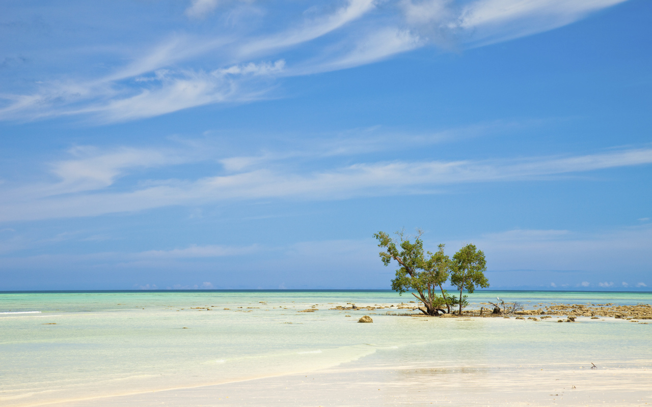 Отпуск на пляжах на Андаманских островах