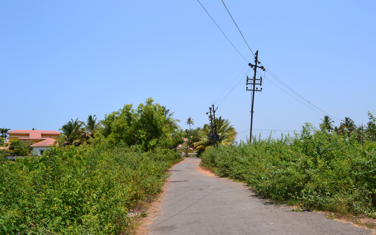 Природа в Бенаулиме