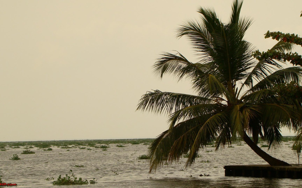 Весенний отпуск в Алапуже