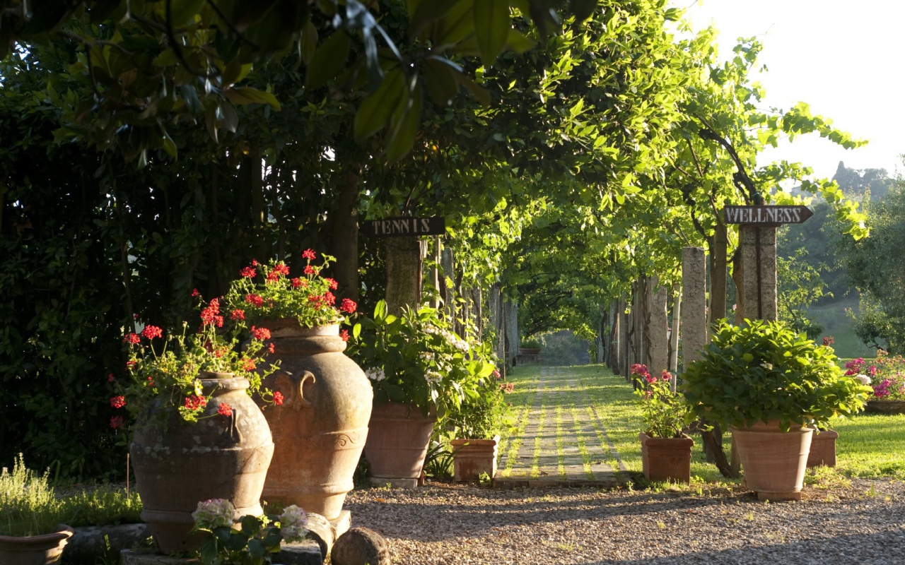 Зеленая аллея в Сиене, Италия