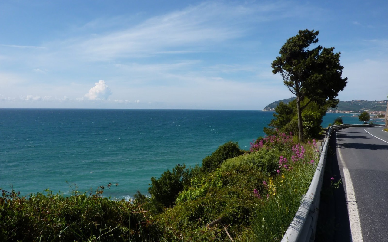 Деревья на набережной в Санто Стефано аль Маре, Италия