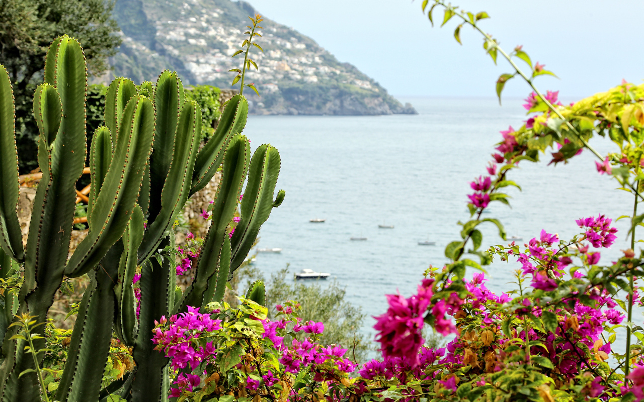 Вид со склона горы на залив на курорте Позитано, Италия
