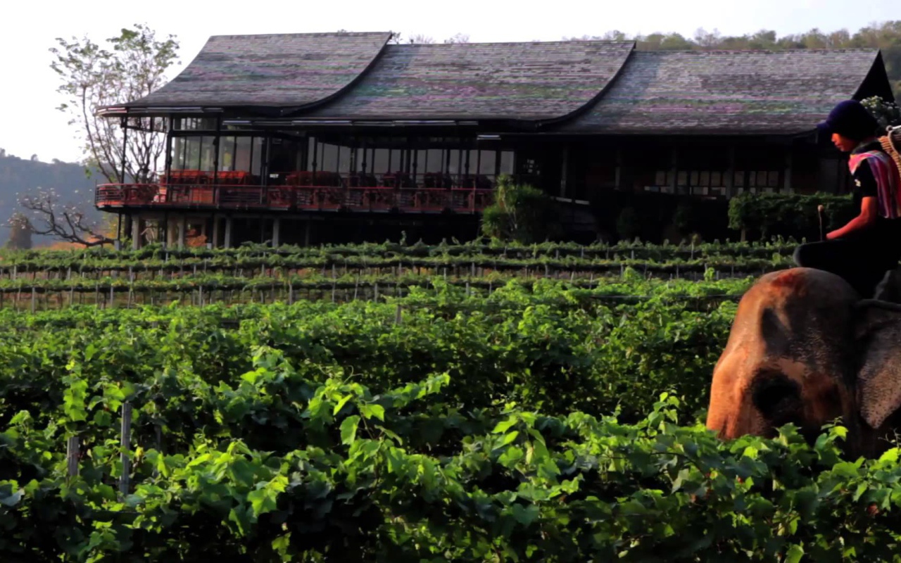 Слон на фоне дома на курорте Хуа Хин, Таиланд