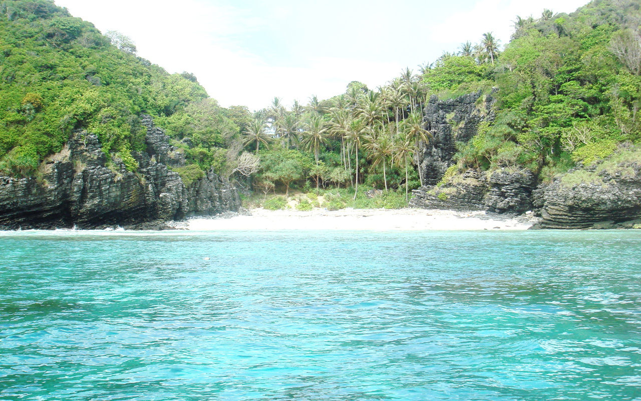 Пальмы на берегу в Пхукете, Таиланд